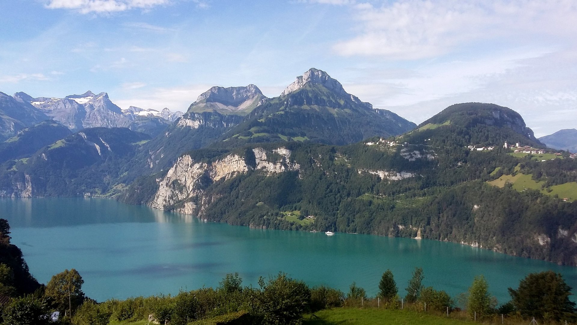 Überblick des Vierwaldstättersee von einer Weide aus